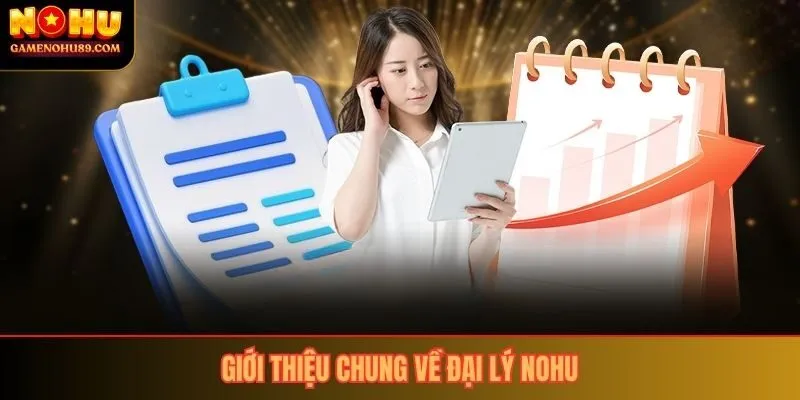 Giới thiệu chung về đại lý nohu