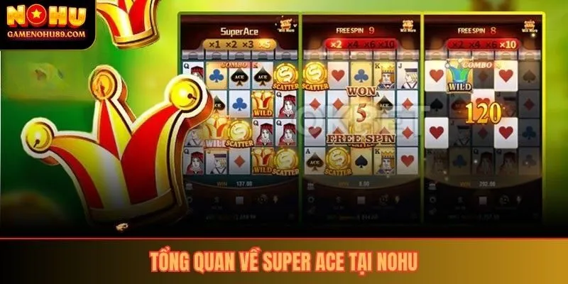Tổng quan về Super Ace tại Nohu